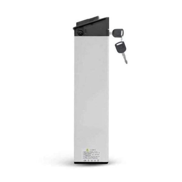 Batterie LITHIUM-ION pour ENGWE EP-2 PRO & ENGINE PRO
