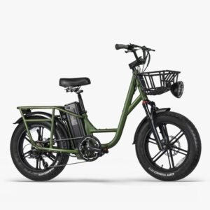 Fiido T1 Pro Vélo électrique Cargo