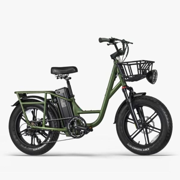 Fiido T1 Pro Vélo électrique Cargo