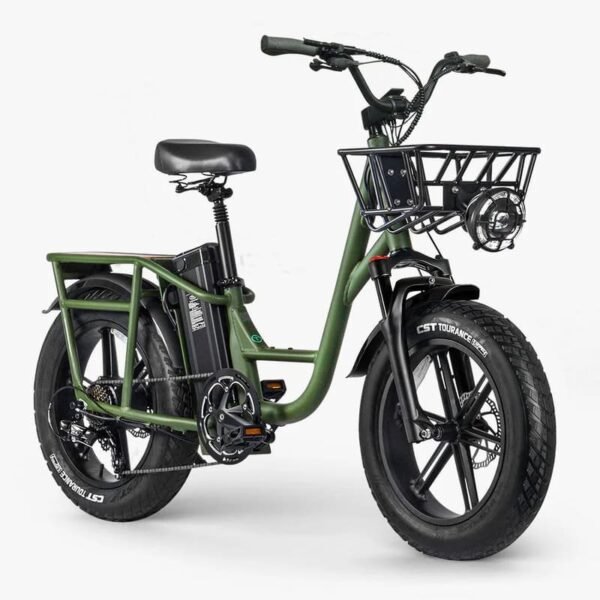 Fiido T1 Pro Vélo électrique Cargo – Image 3