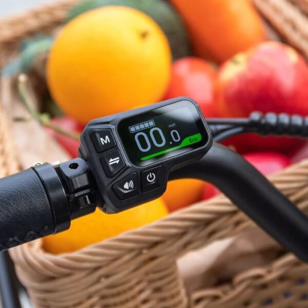 Fiido T2 Vélo électrique Longtail Fatbike Cargo – Image 6