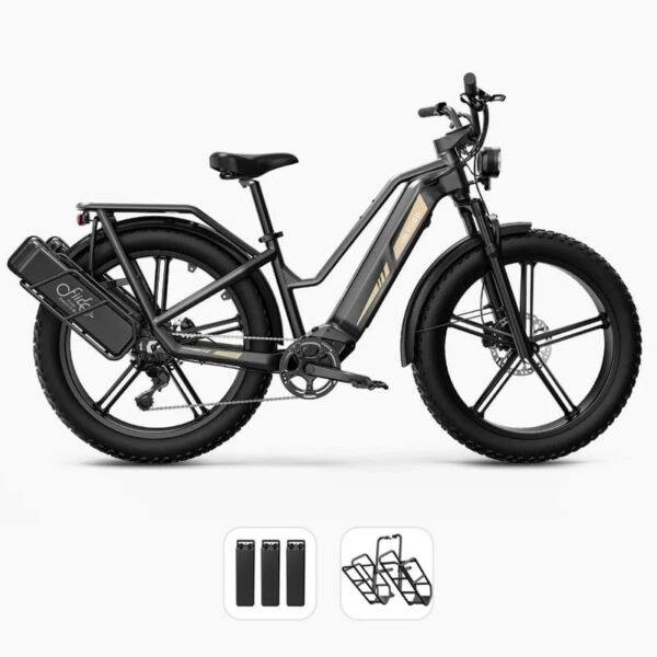 Fiido Titan Vélo électrique Cross & Randonnée – Image 7