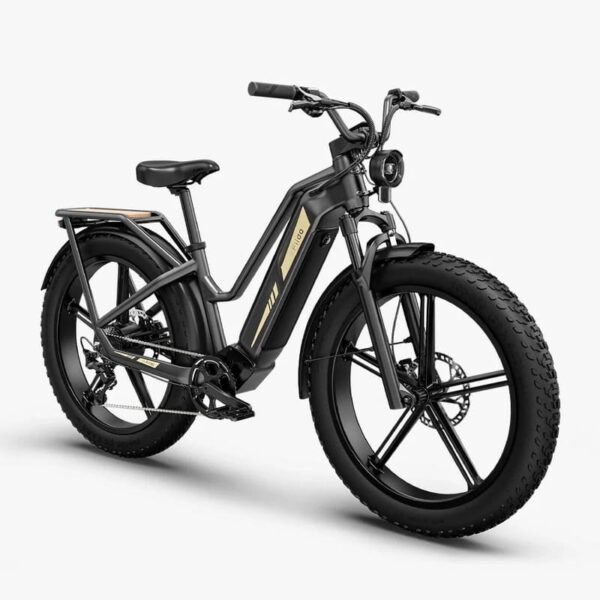 Fiido Titan Vélo électrique Cross & Randonnée – Image 3