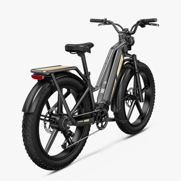 Fiido Titan Vélo électrique Cross & Randonnée – Image 2
