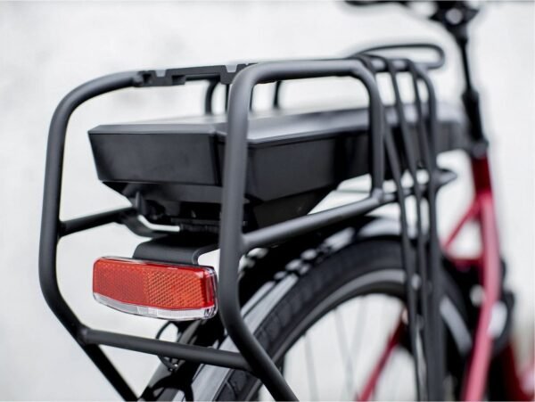 Trek District+ 4 Lowstep 300wh Shimano Nexus 2022 – Image 7